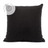 Black Velvet Pillow